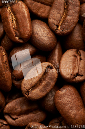 Image of Coffe beans background