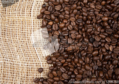 Image of coffee beans on a canvas