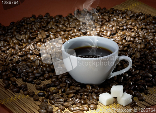 Image of Coffee cup with sugar on roasted beans