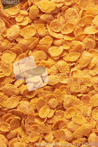 Image of corn-flakes background