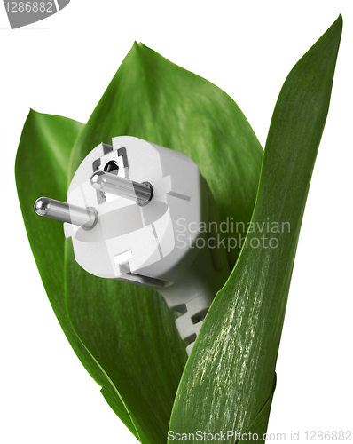Image of eco energy in a white background