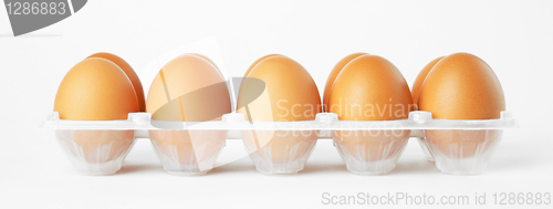 Image of eggs in the package