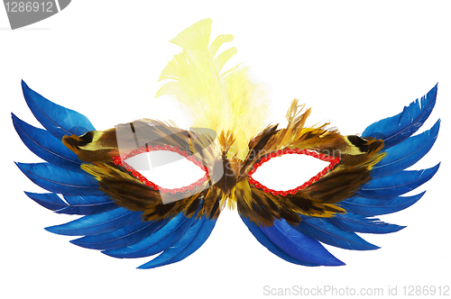 Image of feather mask