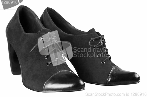 Image of Female boots of black colour