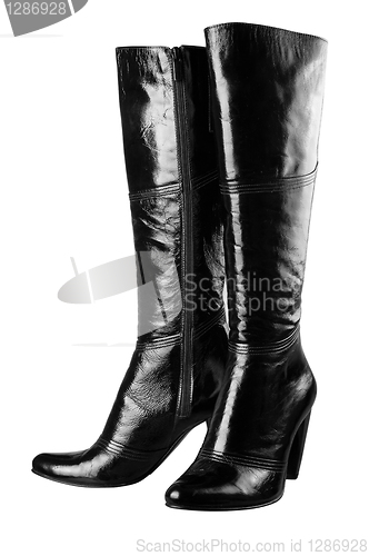Image of Female high boots