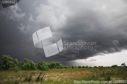 Image of Field, green bushes and trees, the sky with thunderclouds