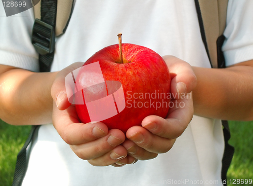 Image of apple for the teacher