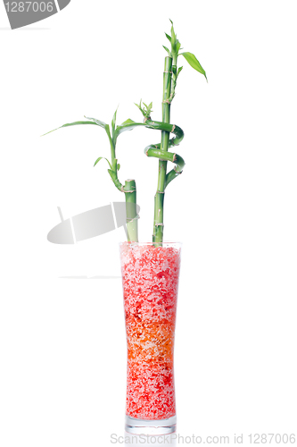 Image of Glass jar with bamboo 