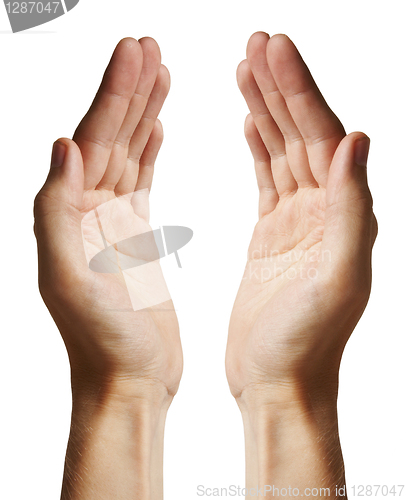Image of Human hands
