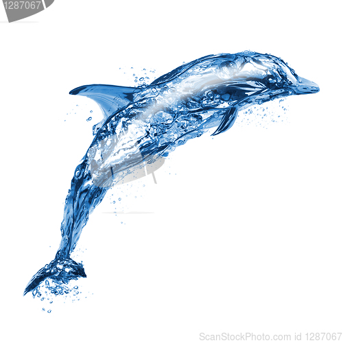 Image of Jumping water dolphin