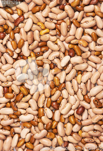 Image of beans background