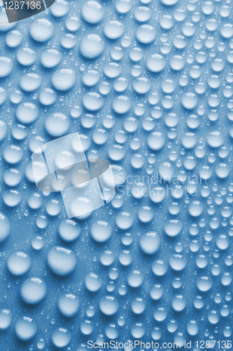 Image of Close-up of water drops
