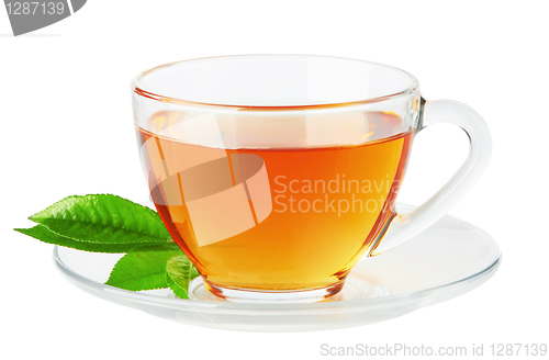 Image of Cup with tea and green leaf