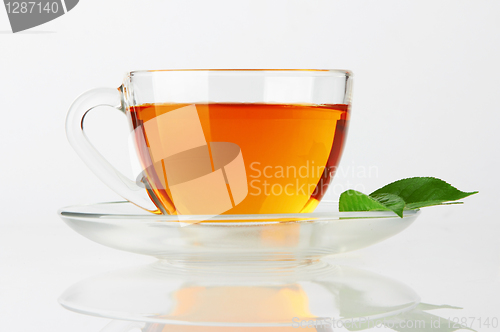 Image of Cup with tea and green leaf