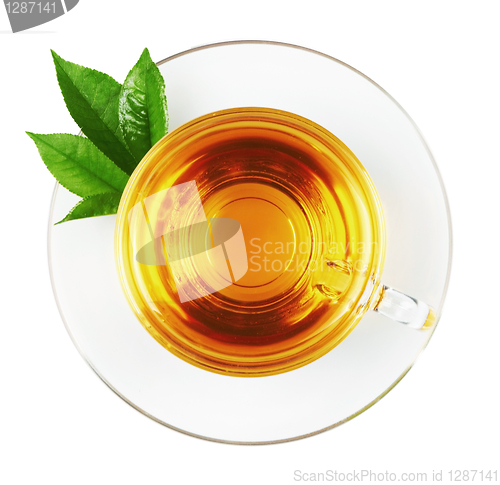 Image of Cup with tea and green leaf