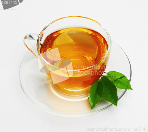 Image of Cup with tea and green leaf