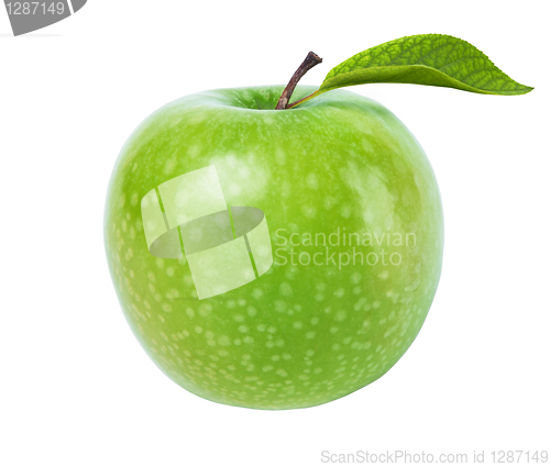 Image of fresh green apple