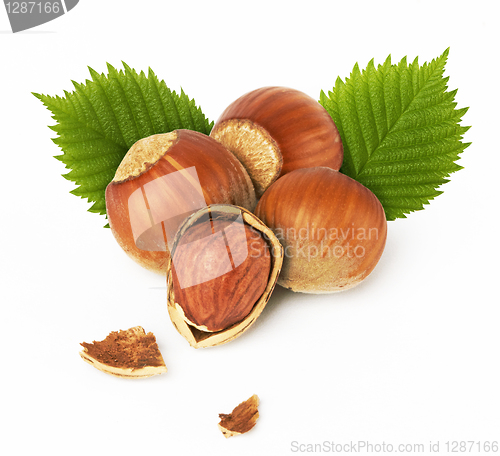 Image of hazelnuts with leaves