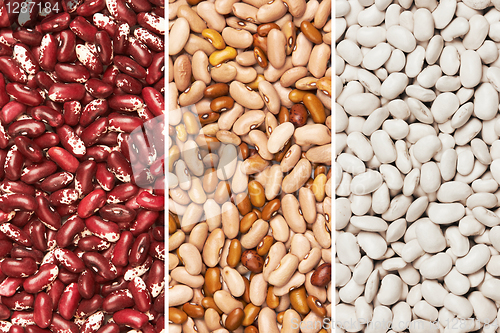 Image of Mixture of beans