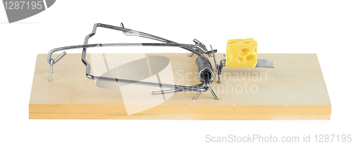 Image of mousetrap with cheese