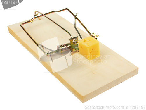 Image of mousetrap with cheese