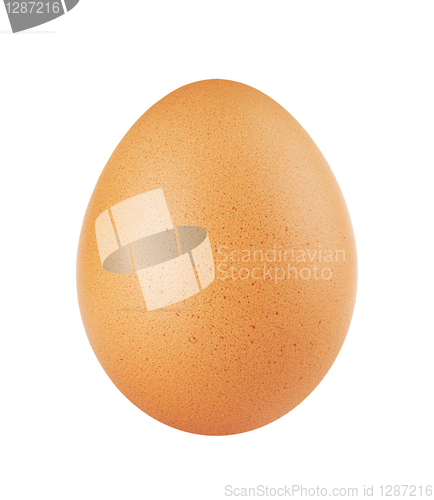 Image of one egg