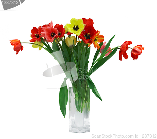 Image of Red and yellow tulips in vase isolated on white background