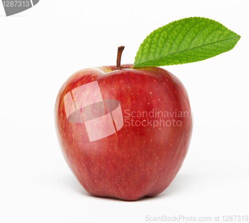 Image of Red apple