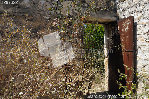 Image of withered garden