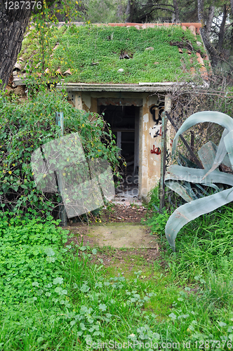 Image of grass house