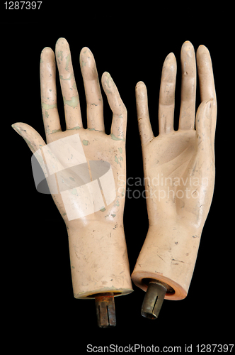 Image of severed hands