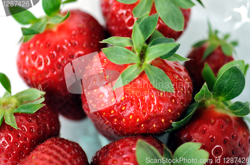 Image of strawberry