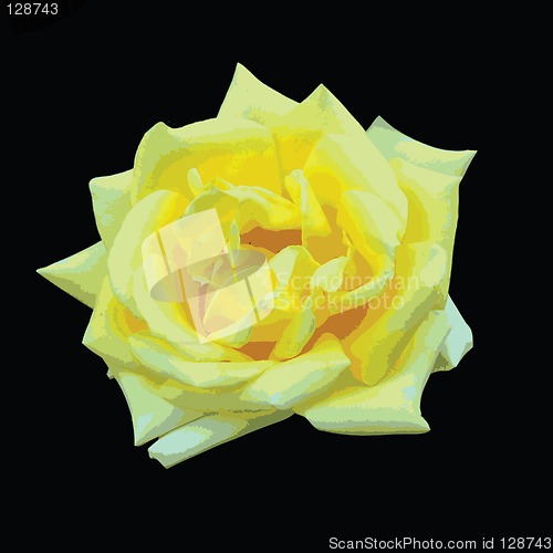 Image of Prosperous rose vector