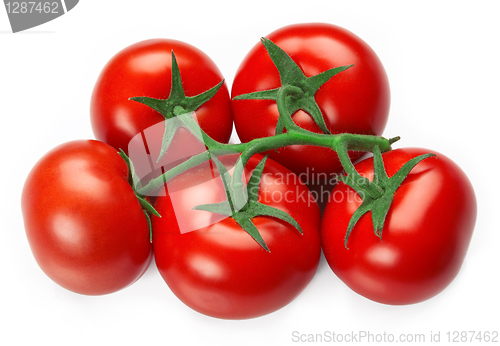 Image of Red fresh tomatoes