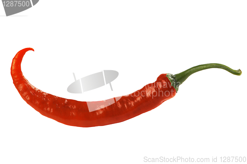 Image of Red hot pepper
