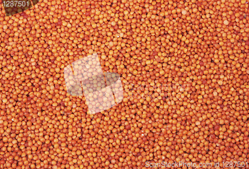 Image of red lentils