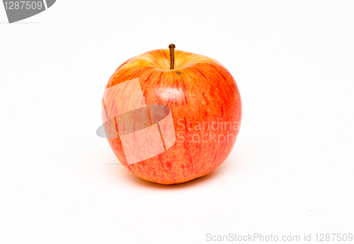 Image of apple 