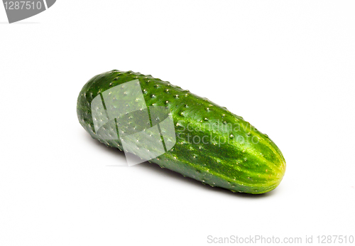 Image of cucumber 