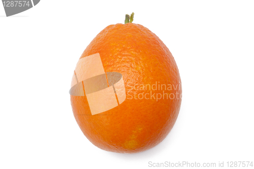 Image of Orange