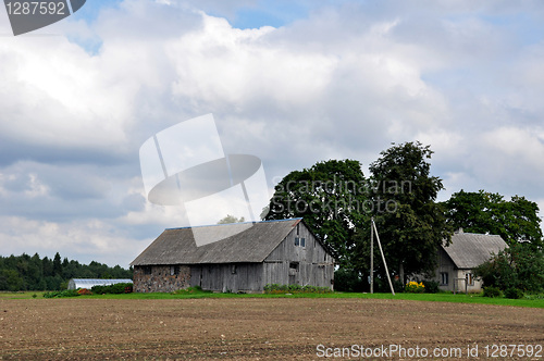 Image of The shed