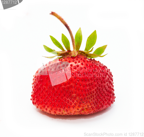 Image of strawberry