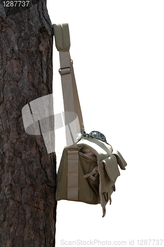 Image of Shoulder bag hanging on pine tree