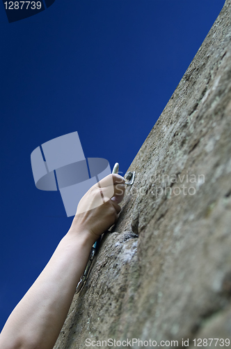 Image of Climber's hand with quick-draws