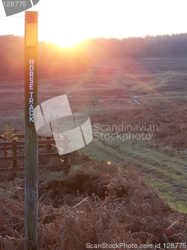Image of Horse track