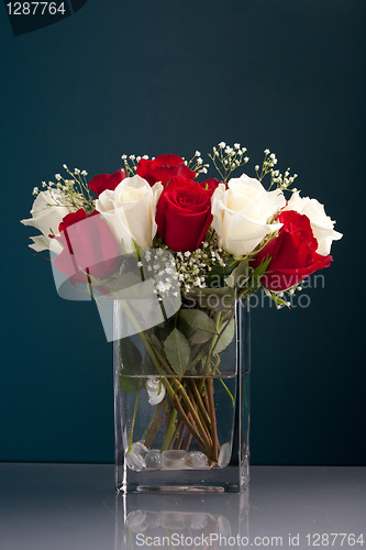 Image of Red and White Roses in a Vase