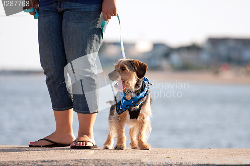 Image of Woman Walking The Puppy