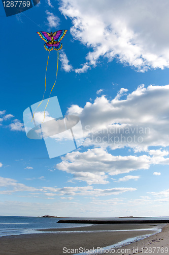 Image of Flying a Kite at the Beach