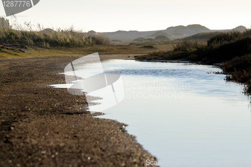 Image of Wetland