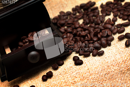 Image of Brown Coffee Beans on Background
