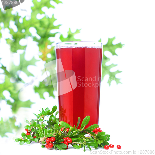 Image of Ñowberry and Berry Juice Glass